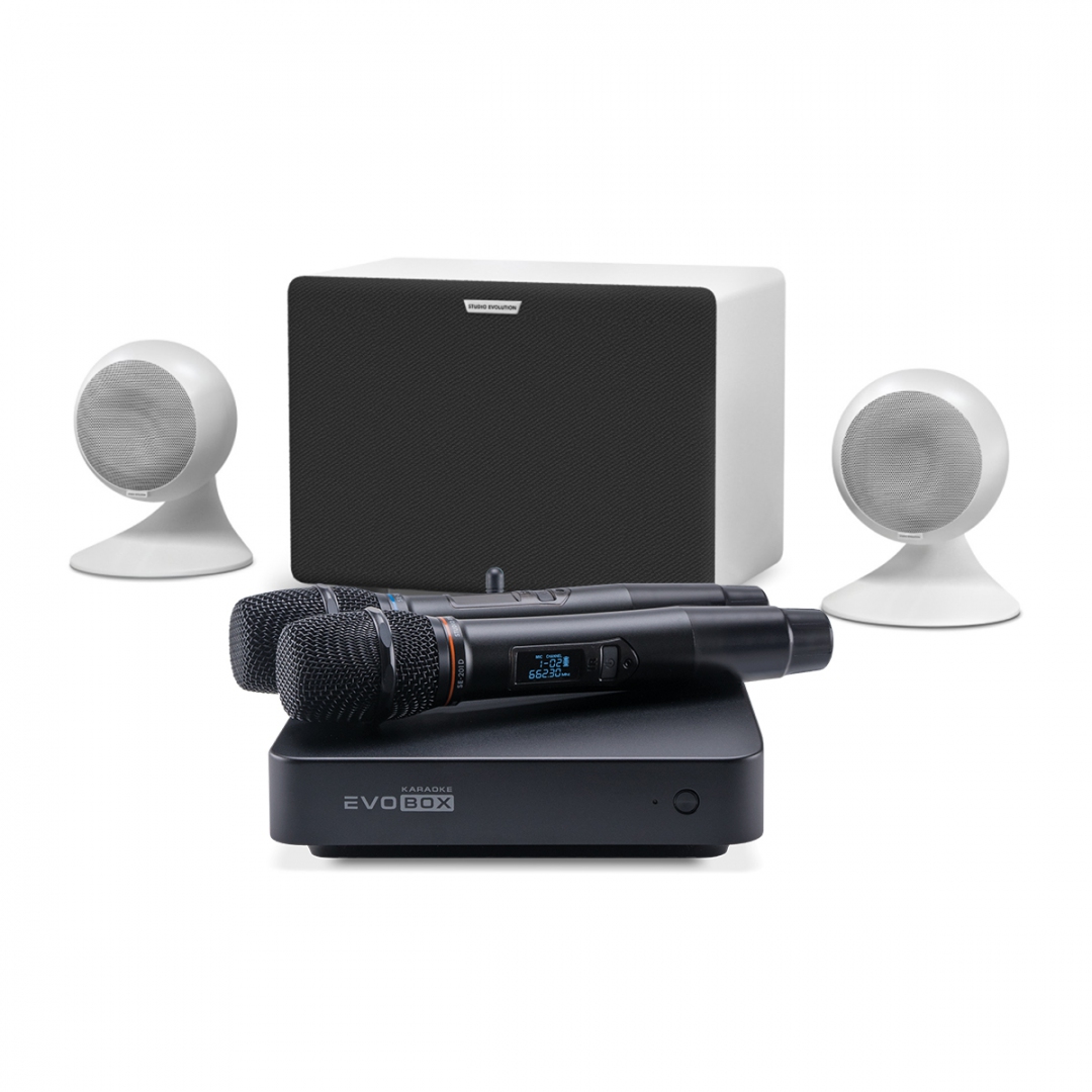 караоке-комплект EVOBOX Classic + EvoSound Sphere 2.1 в Анапе