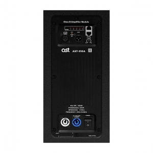 Активная акустическая система AST-310A в Анапе