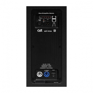 Активная акустическая система AST-312A в Анапе